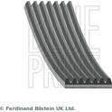 Cinghia Poly-V BLUE PRINT - AD07R880