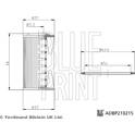 Filtro hidráulico, transmisión automática BLUE PRINT - ADBP210215