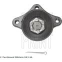 Fuseekogel BLUE PRINT - ADG086175
