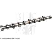 Nokkenas BLUE PRINT - ADBP610002