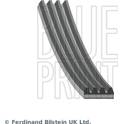 Poly V-riem BLUE PRINT - AD04R1170