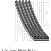 V-Ribbed Belts BLUE PRINT - AD05R720