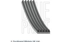 V Ribbed Drive Belts