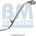 Tubo pressão, sensor pressão (filtro partículas e fuligem) BM CATALYSTS - PP11010A