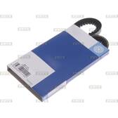 Cinghia Poly-V BOLK - BOL-B021008