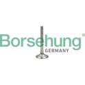 Auslassventil Borsehung - B18997