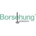 Auslassventil Borsehung - B19012