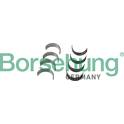 Big End Bearings Borsehung - B11332