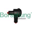 Détendeur de suralimentation Borsehung - B12190