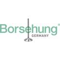 Einlaßventil Borsehung - B19017