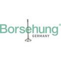 Einlaßventil Borsehung - B19025