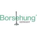 Einlaßventil Borsehung - B19026