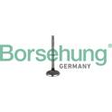 Einlaßventil Borsehung - B19029