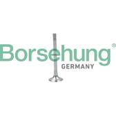 Exhaust Valve Borsehung - B19004