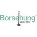 Exhaust Valve Borsehung - B19006