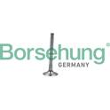 Exhaust Valve Borsehung - B19008