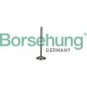 Exhaust Valve Borsehung - B19009