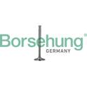 Exhaust Valve Borsehung - B19010