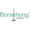 Inlet Valve Borsehung - B19021