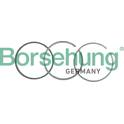 Jogo de segmentos do êmbolo Borsehung - B19037
