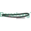 Ketting, oliepompaandrijving Borsehung - B12184