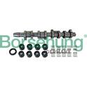 Nokkenasset Borsehung - B11307