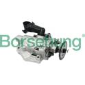 Oljepump Borsehung - B12693