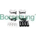 Piston Ring Kit Borsehung - B18741