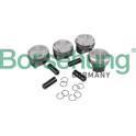 Pistone Borsehung - B11134