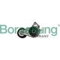 Rullo tenditore, Cinghia Poly-V Borsehung - B12239