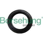 Shaft Seal, manual transmission flange Borsehung - B18791