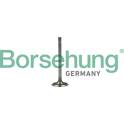 Soupape d'admission Borsehung - B19022