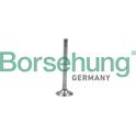 Soupape d'échappement Borsehung - B19005