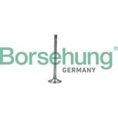 Soupape d'échappement Borsehung - B19007