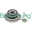 Wheel Bearing Kit Borsehung - B15946