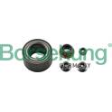 Wheel Bearing Kit Borsehung - B15959