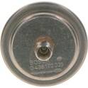 Accumulateur de pression (pression carburant) BOSCH - 0 438 170 035