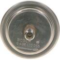Acumulador de presión, presión de combustible BOSCH - 0 438 170 055