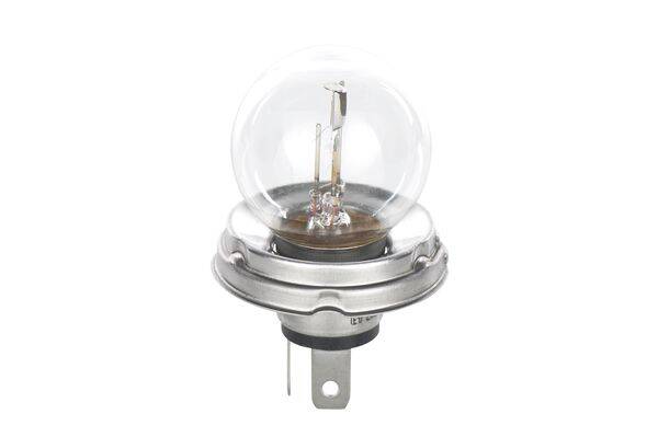 Bulb R2 Pure Light