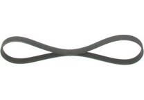 Cinghia Poly-V