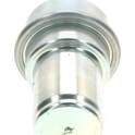 Druckspeicher, Kraftstoffdruck BOSCH - 0 438 170 039