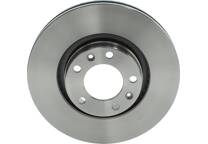 Brake disc (per unit)