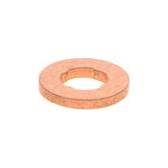 Guarnizione, Portapolverizzatore (x10) BOSCH - F 00V C17 504