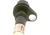 Krukassensor