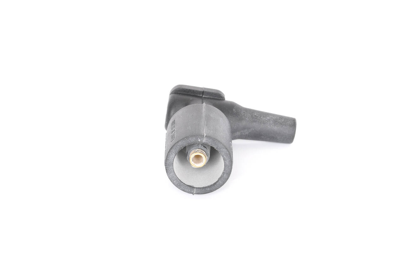 Plug, coil