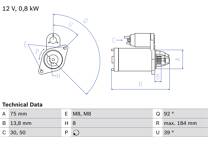 Startmotor (Gereviseerd)
