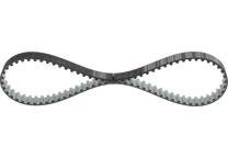 Timing Belt