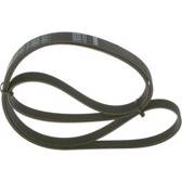 Bosch 5PK1815 - Ribbed V-belt - 1987948482 BOSCH - 1 987 948 482