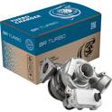 Turbocharger (Remanufactured) BR TURBO - VV20RS