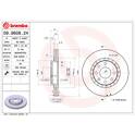 Bremssatz (2 Bremsscheiben) BREMBO - 09.9608.24